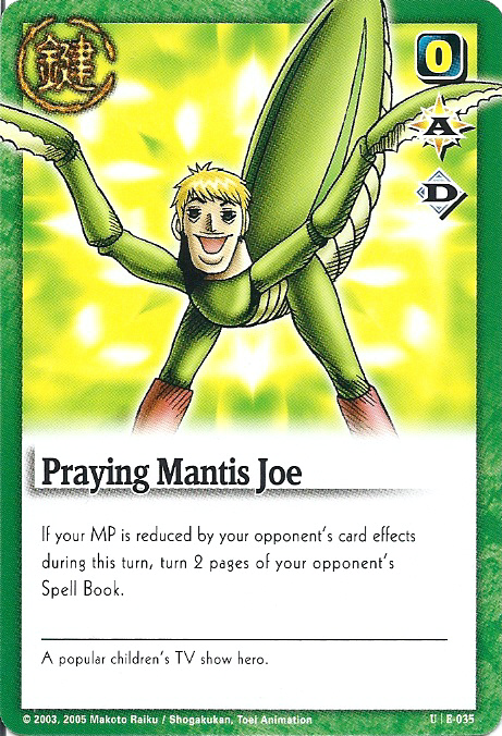 Praying Mantis Joe